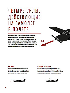 The Physics of Flight. From the First Gliders to Modern Drones